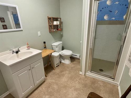 1619 Gabarus Highway, Prime Brook, NS - Indoor Photo Showing Bathroom