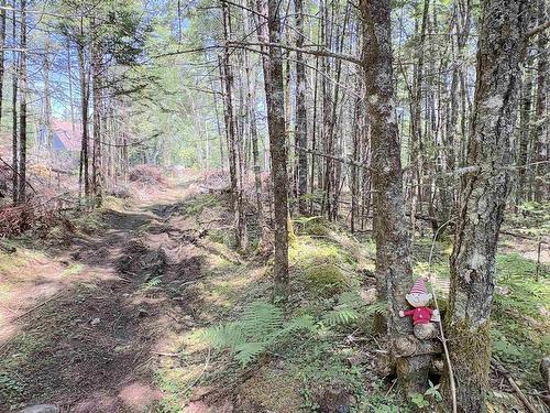 1894 Highway 103, Sable River, NS - Outdoor With View