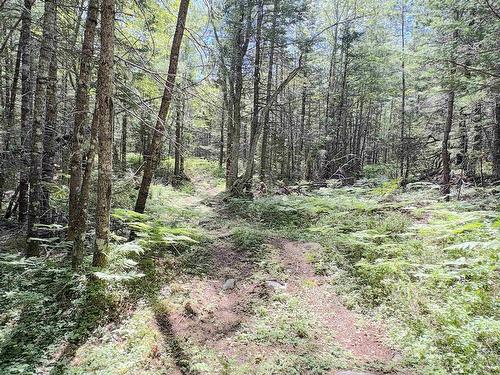 1894 Highway 103, Sable River, NS - Outdoor With View