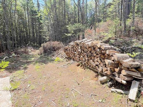 1894 Highway 103, Sable River, NS - Outdoor With View
