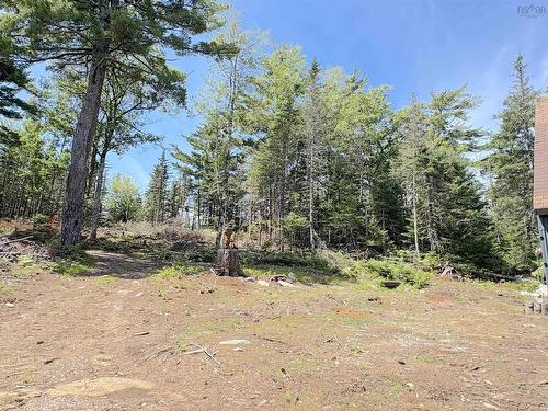 1894 Highway 103, Sable River, NS - Outdoor With View