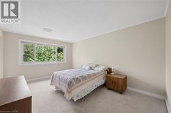 Bright interior space featuring a large three-panel window with white trim, carpeting, and crown molding - 