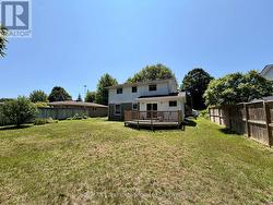 Back of the House - 