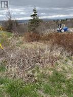 129A English Hill Road Carbonear, NL A1Y 1A8
