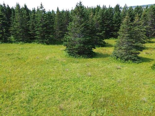 247 Highway, St. Peter'S, NS 
