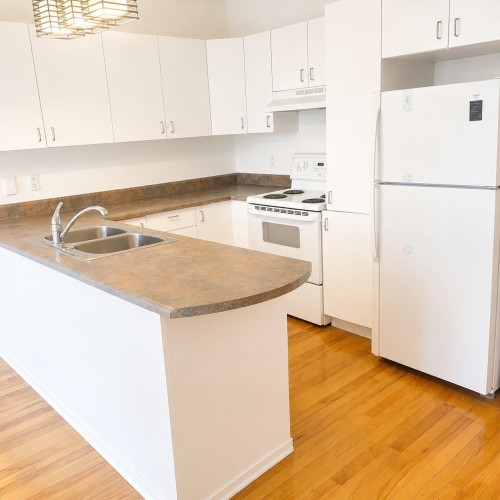 Kitchen - 445-443  - 447 Rue Osborne, Montréal (Verdun/Île-Des-Soeurs), QC - Indoor Photo Showing Kitchen With Double Sink