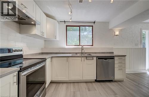 Twin sink under window. - 197 Southwood Drive, Kitchener, ON - Indoor Photo Showing Kitchen With Double Sink