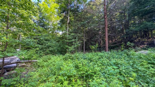 Terre/Terrain - 34 Ch. Des Micmacs, Harrington, QC 