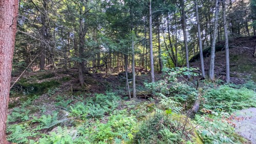 Terre/Terrain - 34 Ch. Des Micmacs, Harrington, QC 