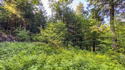 Terre/Terrain - 34 Ch. Des Micmacs, Harrington, QC 
