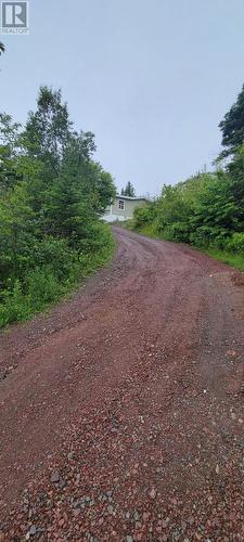 328 Main Road, Lewin'S Cove, NL - Outdoor With View