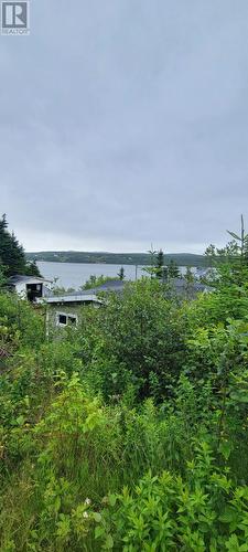 328 Main Road, Lewin'S Cove, NL - Outdoor With Body Of Water With View