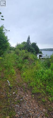328 Main Road, Lewin'S Cove, NL - Outdoor With Body Of Water With View