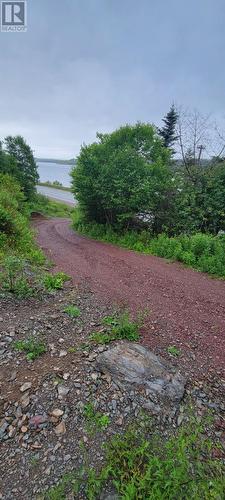 328 Main Road, Lewin'S Cove, NL - Outdoor With Body Of Water With View