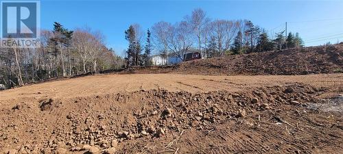 75 A & B Kimberley Farm Drive, Winterland, NL 