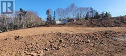 75 A & B Kimberley Farm Drive Winterland, NL A0E 2Y0