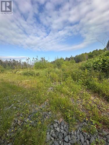 51 A Kimberley Farm Road, Winterland, NL 