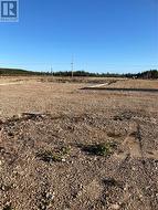 1690 Oceanview Drive Cape St. George, NL A0N 1E0