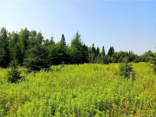 1496 Route 390, Gladwyn, NB 