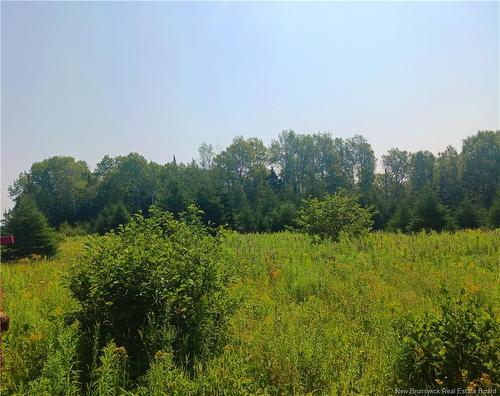 1496 Route 390, Gladwyn, NB 