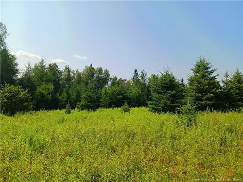 1496 Route 390, Gladwyn, NB 