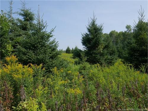 1496 Route 390, Gladwyn, NB 