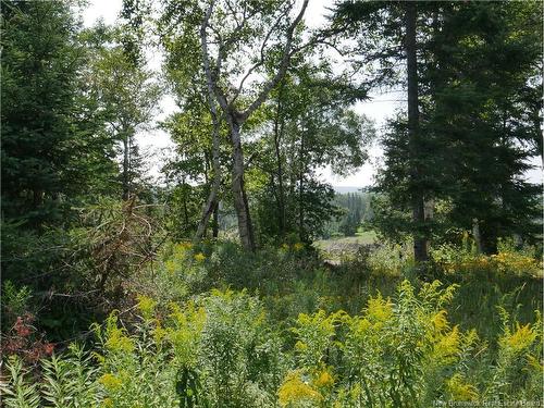 1496 Route 390, Gladwyn, NB 