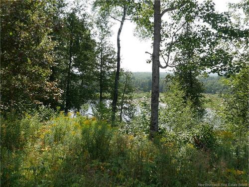 1496 Route 390, Gladwyn, NB 