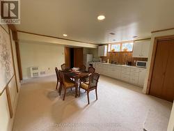 Basement kitchen area - 