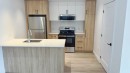 Kitchen - 305-16 Rue St-Joseph, Sainte-Agathe-Des-Monts, QC  - Indoor Photo Showing Kitchen With Upgraded Kitchen 