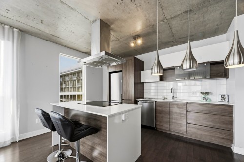 Cuisine - 1701-235 Rue Peel, Montréal (Le Sud-Ouest), QC - Indoor Photo Showing Kitchen With Upgraded Kitchen