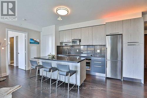 303 - 36 PARK LAWN ROAD , Toronto, Ontario M8V 0E5