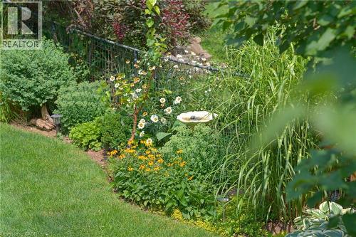 394 Charlton Avenue W, Hamilton, ON - Outdoor