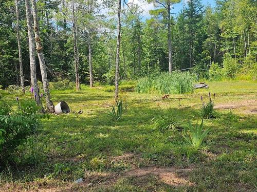239 Upper River John Road, Waughs River, NS 