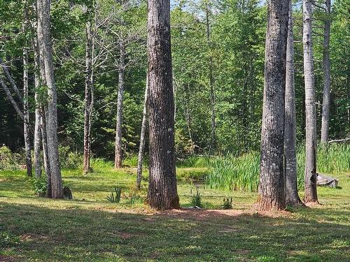 239 Upper River John Road, Waughs River, NS 