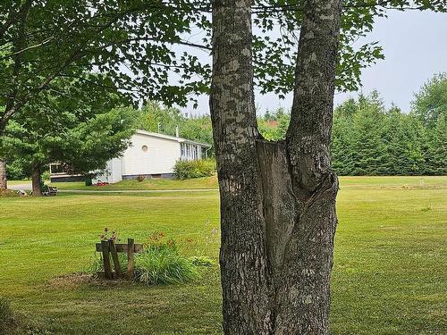 239 Upper River John Road, Waughs River, NS 