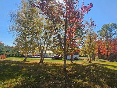 239 Upper River John Road, Waughs River, NS 