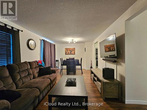 458 Misty Crescent, Kitchener, ON - Indoor Photo Showing Living Room