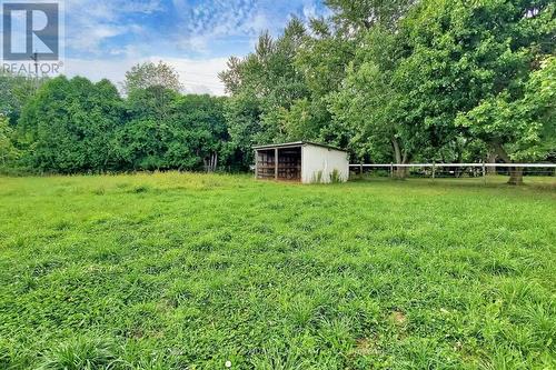 6159 5Th Side Road, Innisfil, ON 