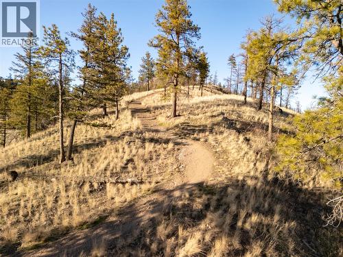 274 Summer Wood Drive, Kelowna, BC - Outdoor With View