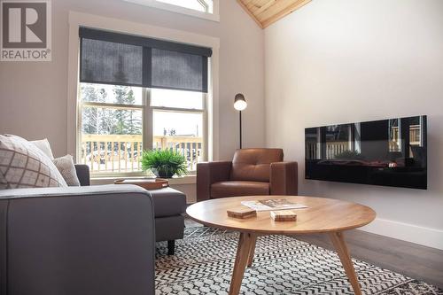344A Little Bay Road, Springdale, NL - Indoor Photo Showing Living Room