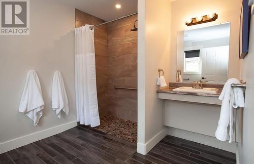344A Little Bay Road, Springdale, NL - Indoor Photo Showing Bathroom