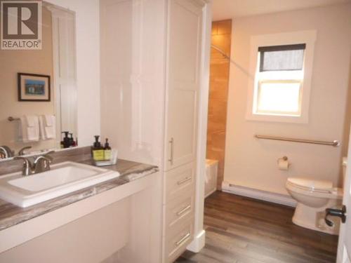 344A Little Bay Road, Springdale, NL - Indoor Photo Showing Bathroom