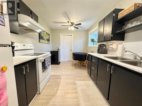 14 Wright Crescent, Gander, NL - Indoor Photo Showing Kitchen With Double Sink