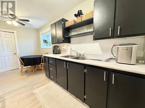 14 Wright Crescent, Gander, NL - Indoor Photo Showing Kitchen With Double Sink