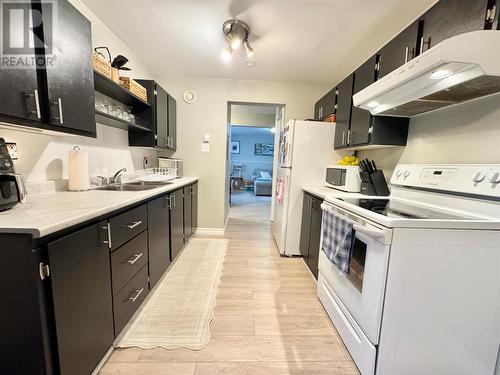 14 Wright Crescent, Gander, NL - Indoor Photo Showing Kitchen With Double Sink