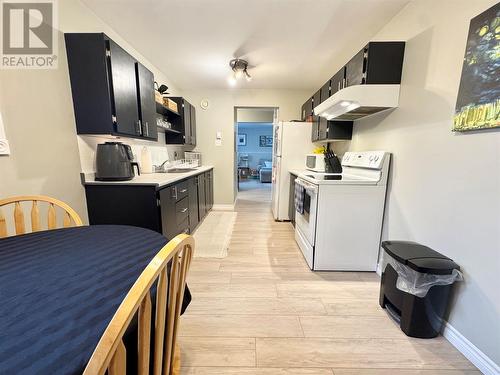 14 Wright Crescent, Gander, NL - Indoor Photo Showing Kitchen