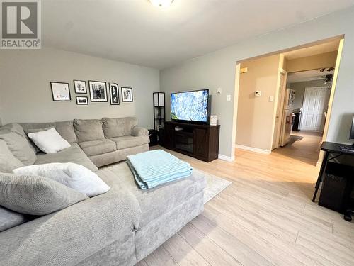 14 Wright Crescent, Gander, NL - Indoor Photo Showing Living Room