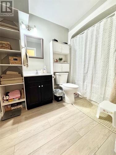 14 Wright Crescent, Gander, NL - Indoor Photo Showing Bathroom