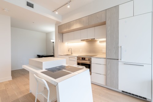 Boudoir - 901-1288 Rue St-Antoine O., Montréal (Ville-Marie), QC - Indoor Photo Showing Kitchen
